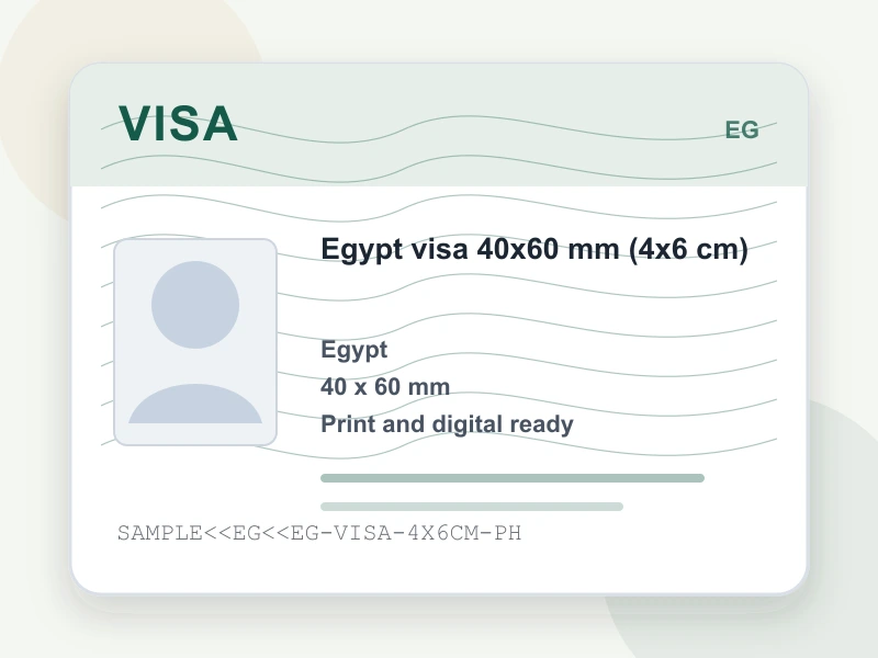 Egypt visa 40x60 mm (4x6 cm) document illustration