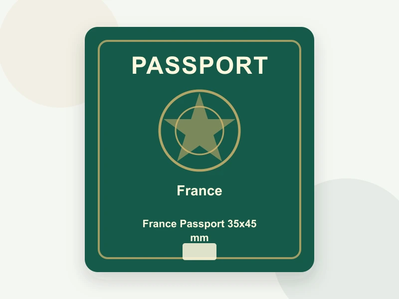 France Passport 35x45 mm (3.5x4.5 cm) document illustration
